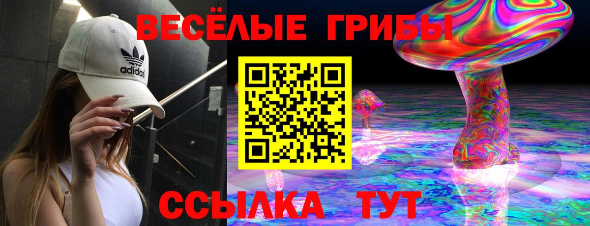 Псилоцибиновые грибы Psilocybe Можга